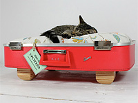 Дом для кошки из чемодана и телевизора