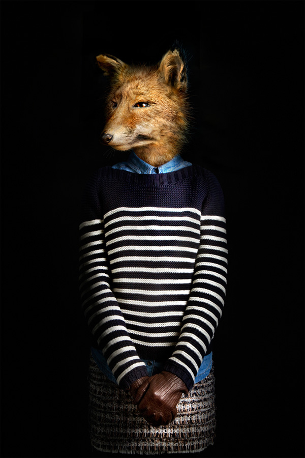Лисица в свитере